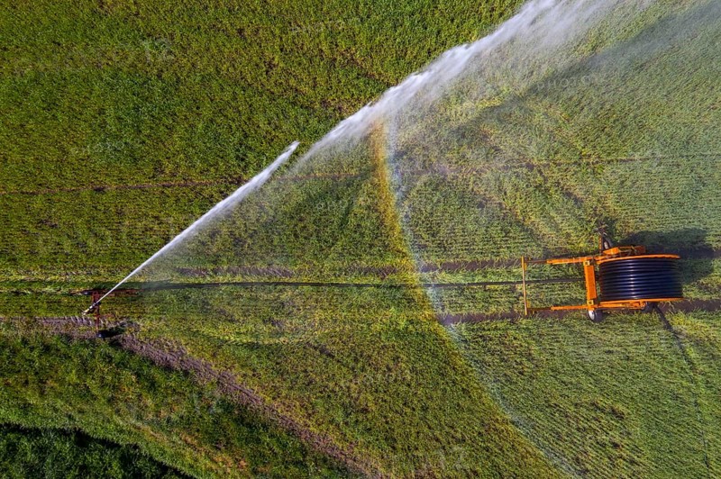 Irrigation of a wheat field on the Lower Rhine, with a mobile irrigation machine, large-area sprinkler, Germany, Europe