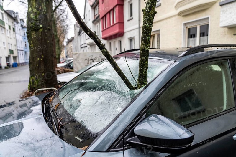 North Rhine-Westphalia, Germany, storm damage, a good 4 metre long branch was broken off by the storm during storm Zoltan and smashed through the windscreen of a parked vehicle, Essen, Europe