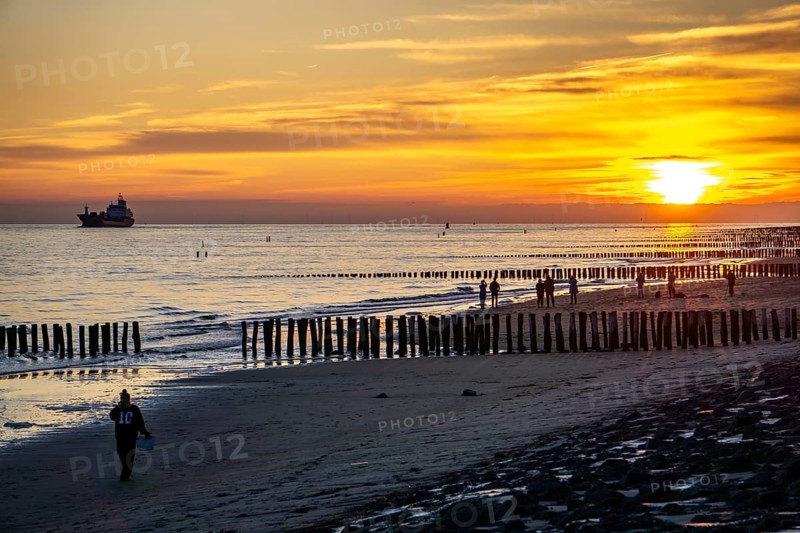 Sunset on the beach of Zoutelande, beach with wooden pile breakwaters, cargo ship sailing towards the Westerschelde, Zeeland, Netherlands