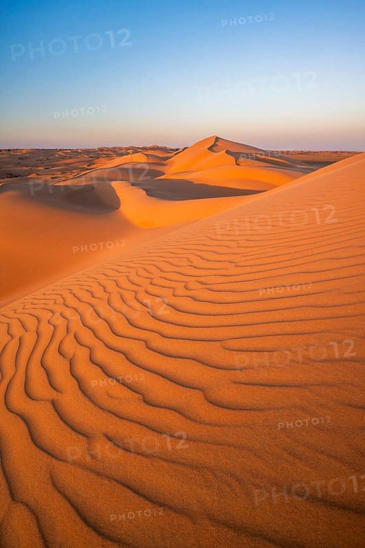 Sand dunes in the desert, near Duqm, Oman, Asia