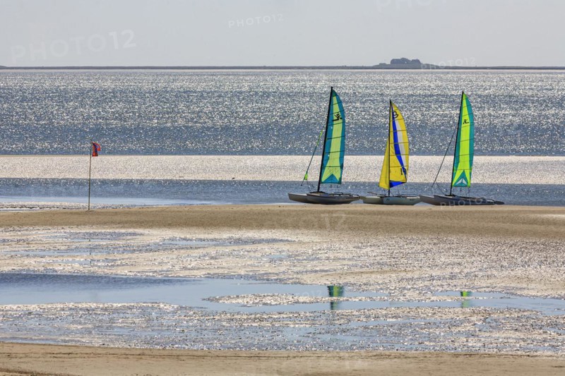 Small sailing boats on the beach, catamaran, behind Hallig, backlight, sunny, summer, North Sea island Föhr, Schleswig-Holstein, Germany, Europe