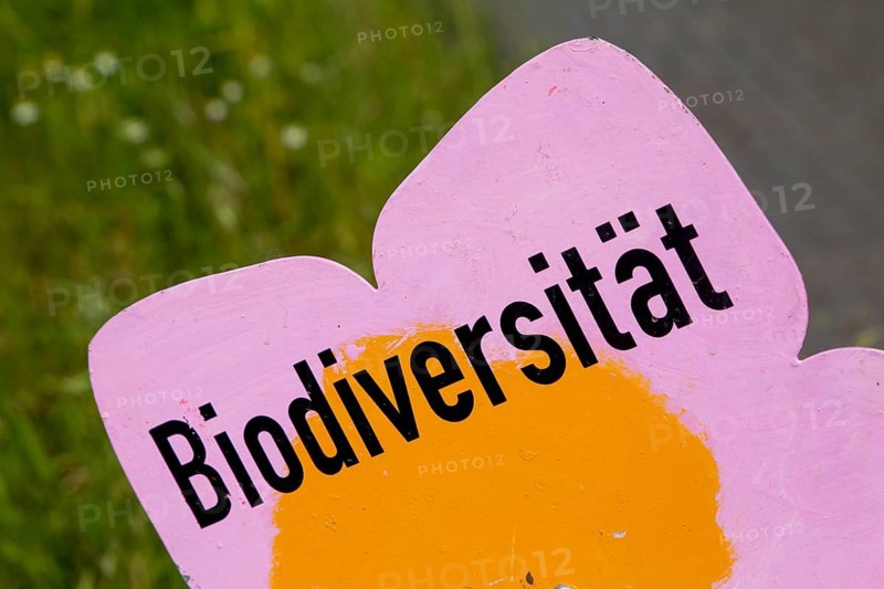 Wooden sign with the inscription Biodiversity on a strip of wildflowers at the edge of a road in Bad Dürkheim, Palatinate
