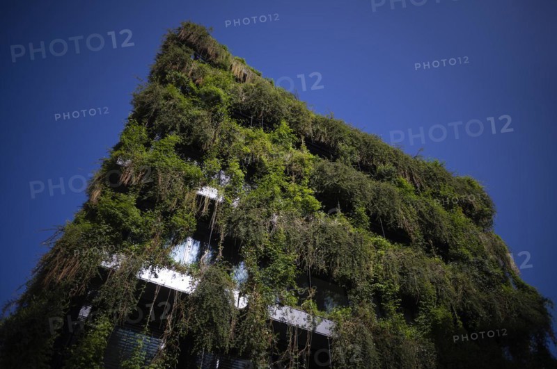 Climate-neutral façade greening on the new building, office building of CMS Hasche Sigle, Calwer Straße, Stuttgart, Baden-Württemberg, Germany, Europe