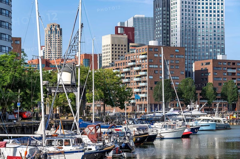 Rotterdam Marina, behind residential high-rise buildings at Spoorweghaven, pleasure craft harbour, sailing boats, motor yachts, in the inland harbour, Feijenoord district, Rotterdam, Netherlands
