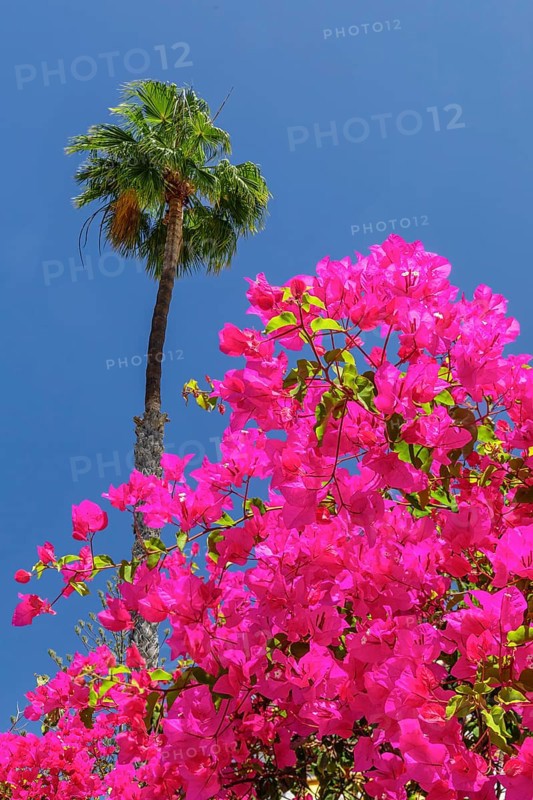 Anfi del Mar, Playa de la Verga, Arguineguin, Gran Canaria, Canary Islands, Spain, Anfi del Mar, Playa de la Verga, Gran Canaria, Canary Islands, Spain, Europe