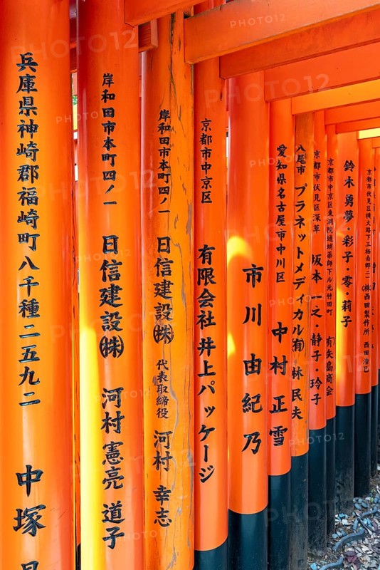 Torii gates, Fushimi Inari-Taisha shrine, Kyoto, Japan, Asia