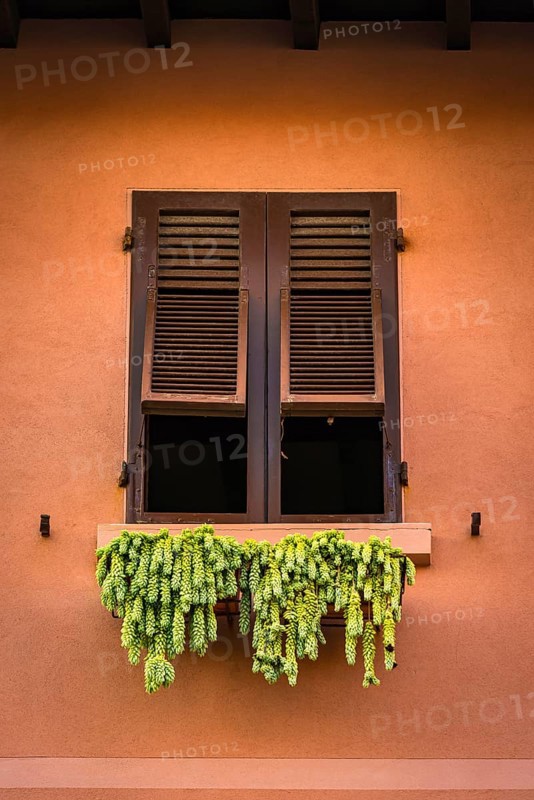 Window with hops for drying, Italy, Europe