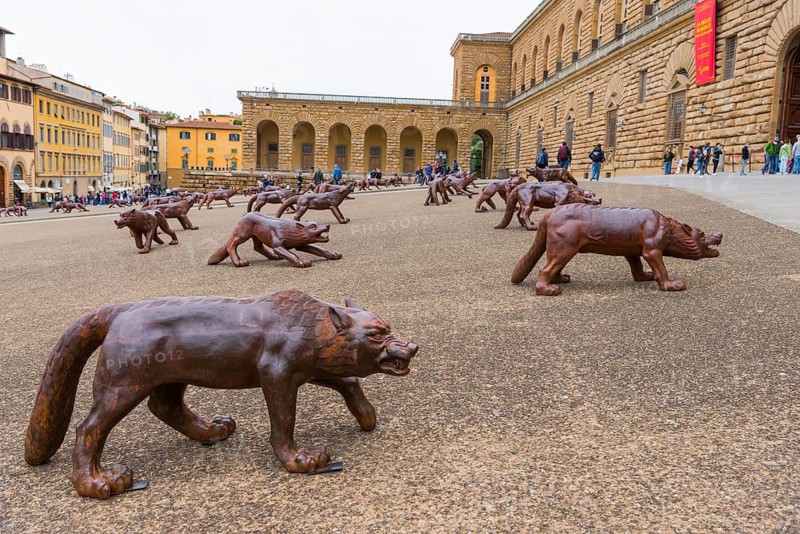 Palazzo Pitti with wolves, architecture, city centre, city trip, culture, tourism, Florence, Italy, Europe
