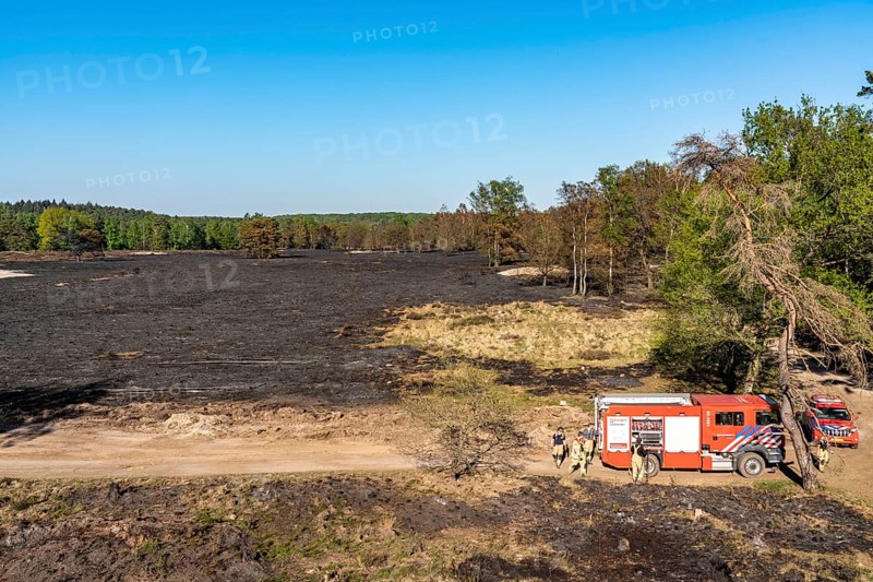 Forest fire in the German-Dutch border region near Niederkrüchten-Elmpt, in a nature reserve, post-extinguishing work