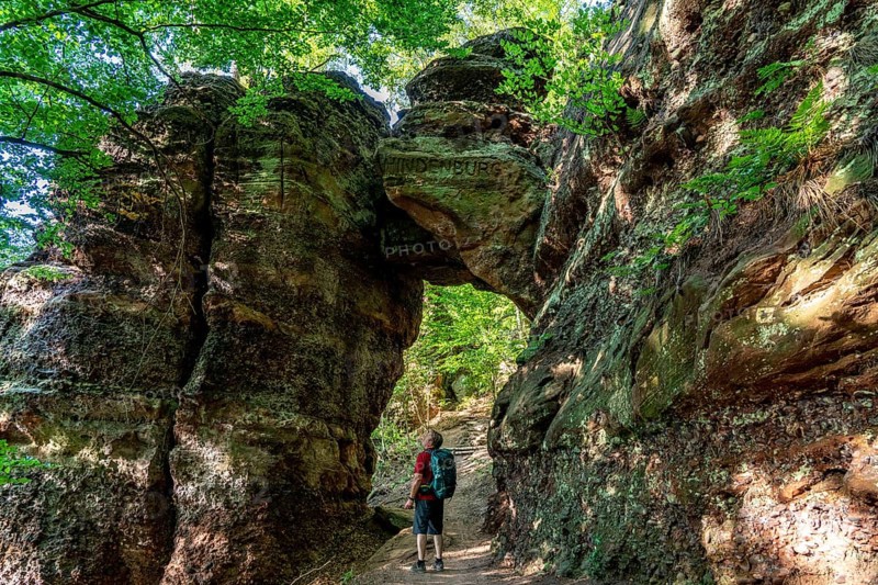 Hindenburgtor, rock formation on the red sandstone route, hiking trail, above the Rur valley, landscape in the Rur Eifel, near Nideggen, Düren district, North Rhine-Westphalia, Germany, Europe