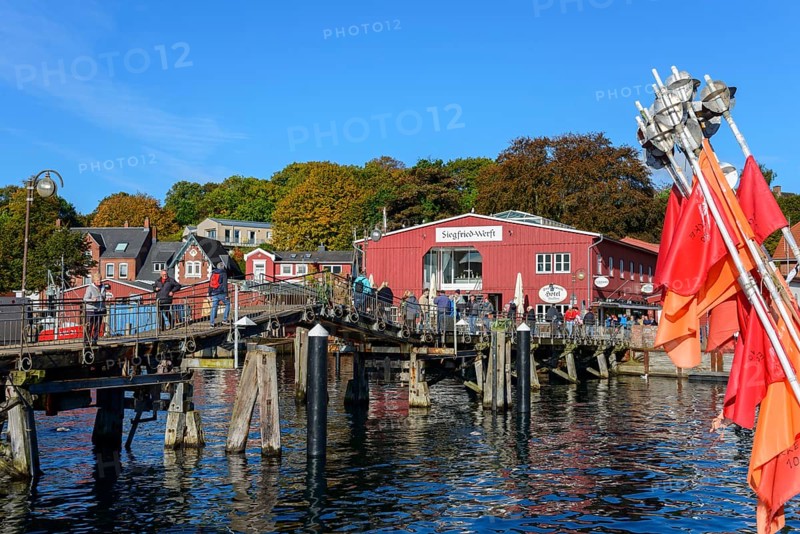 Sunlit harbour with boats and moorings in front of small colourful buildings, wooden bridge and Siegfried shipyard, Eckernförde, Schleswig-Holstein, Germany, Europe