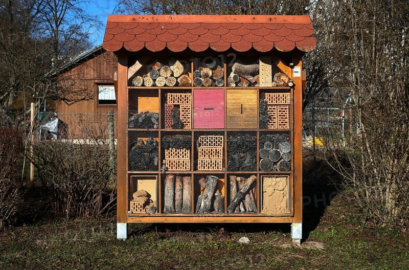 Insect hotel, bee hotel, Waiblingen, Baden-Württemberg, Germany, Europe