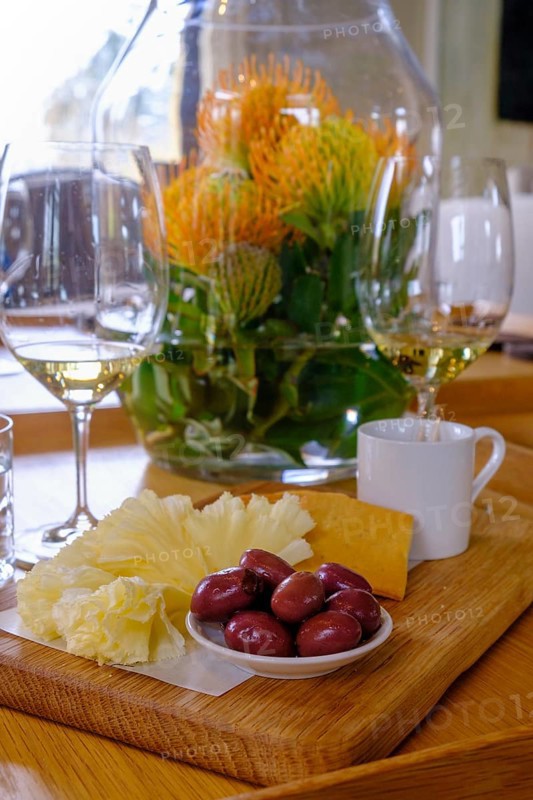 Wine tasting, Oldenburg Wine Estate, Oldenburg Vineyards, Banghoek, Stellenbosch, Western Cape, South Africa, Africa