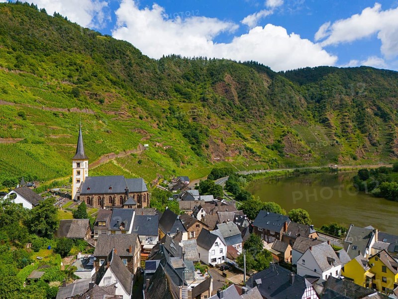 A village with a church and vineyards stretching over green hills, near a river with blue sky and clouds, aerial view, Bremm, Calmont vineyards, one of the steepest vineyard sites in Europe, Cochem-Zell, Rhineland-Palatinate, Germany, Europe