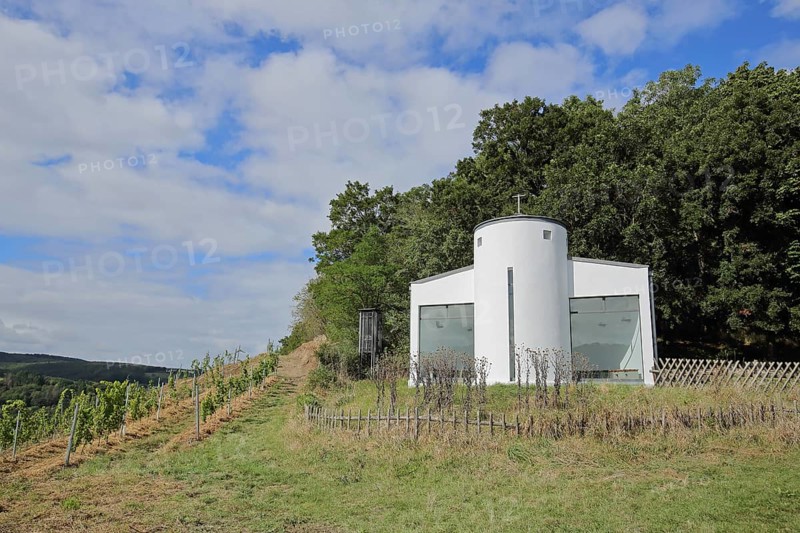 Hildegardis Chapel and vineyards, Disibodenberg Monastery, Hildegard of Bingen, pilgrimage route, Odernheim am Glan, Rhineland-Palatinate, Germany, Europe