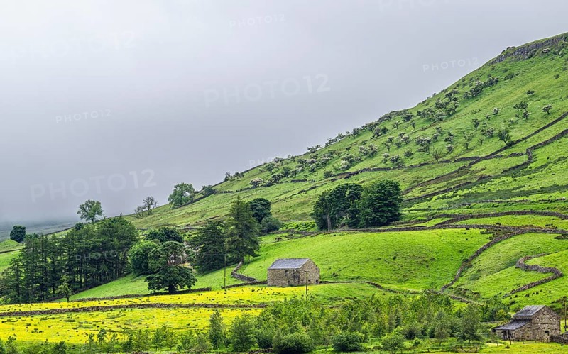 Farms in Yorkshire Dales National Park, North Yorkshire, England, United Kingdom, Europe