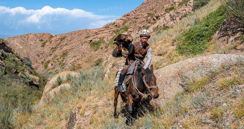 Traditional Kyrgyz eagle hunter with eagle in the mountains, hunting on horseback, near Kysyl-Suu, Kyrgyzstan, Asia