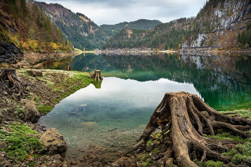 The Vordere Gosausee in autumn with a view of the Gasthof Gosausee. A tree stump in the foreground. Cloudy sky. Long exposure. Reflection. Vorderer Gosausee, Gosau, Gosau Valley, Salzkammergut, Upper Austria, Austria, Europe