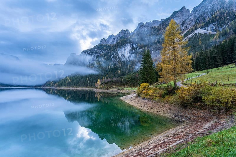 The Vordere Gosausee in autumn with a view of the Gosaukamm. Yellow larch. Cloudy sky, cloudy lake. Reflection. Vorderer Gosausee, Gosau, Gosau valley, Salzkammergut, Upper Austria, Austria, Europe