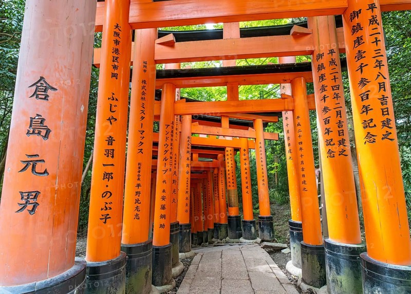 Torii path, Fushimi Inari-Taisha shrine, Kyoto, Japan, Asia