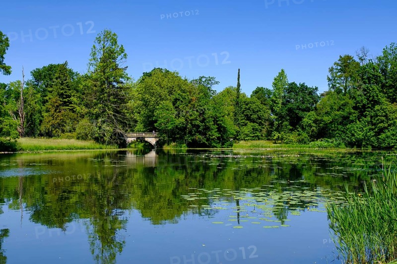 Dessau-Wörlitz Garden Kingdom, Wörlitz Park, UNESCO World Heritage Garden Kingdom of Dessau-Wörlitz, Dessau, Saxony-Anhalt, Germany, Europe