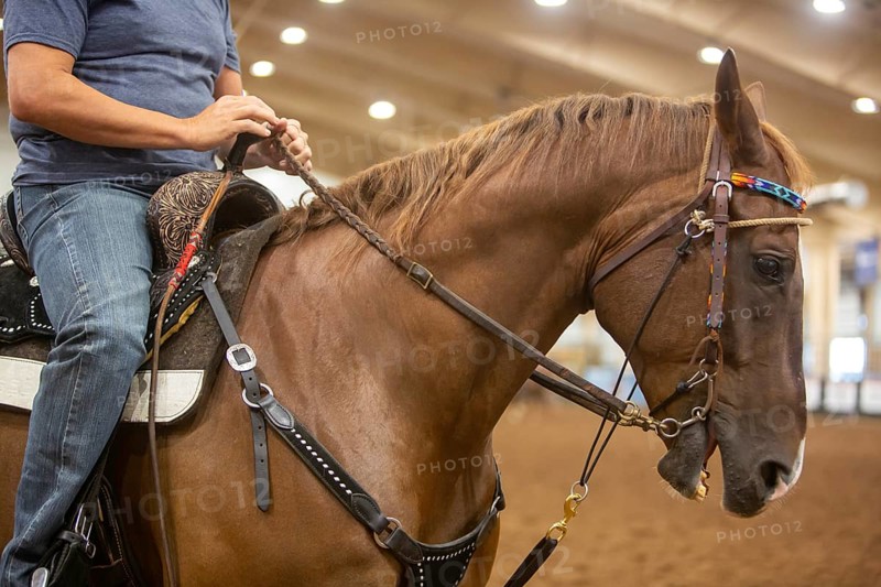 Oklahoma City, Oklahoma, The Great Plains Rodeo, an annual gay rodeo that features traditional rodeo competition while emphasizing the camaraderie of the LGBTQ community