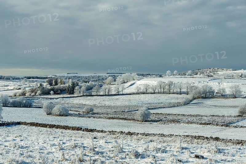 Aubrac plateau in winter. Lozere departement. Occitanie. France