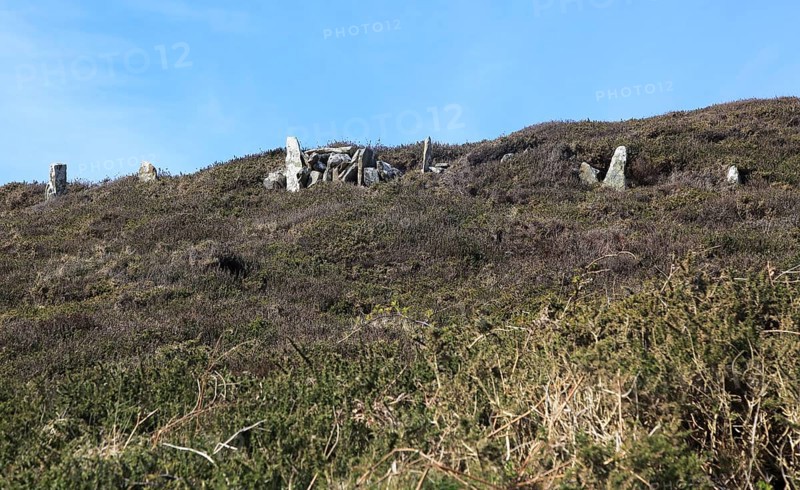 Standing stones field boundary wall, Cape Clear Island, County Cork, Ireland, Irish Republic, Europe