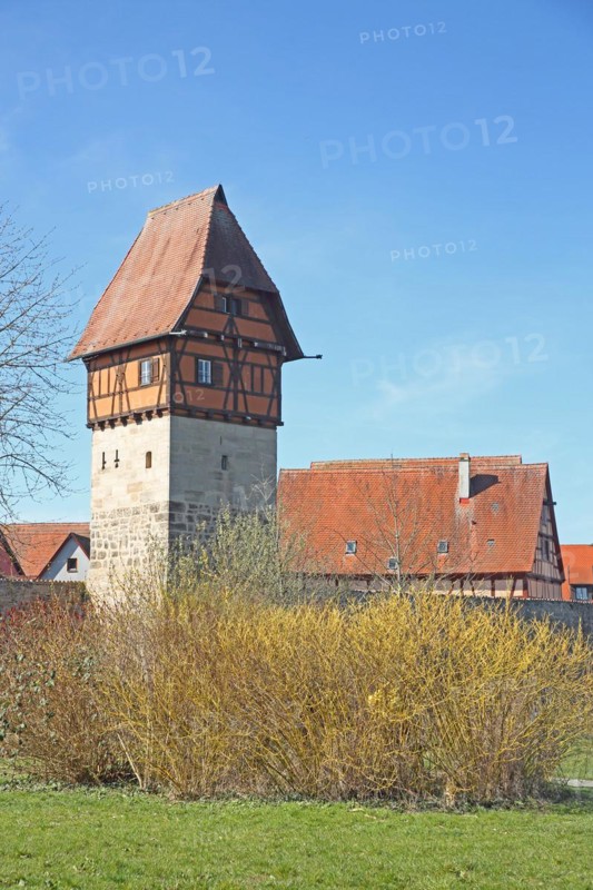 Bäuerlinsturm as part of the historic town fortifications, town wall in spring, Dinkelsbühl, Middle Franconia, Franconia, Bavaria, Germany, Europe