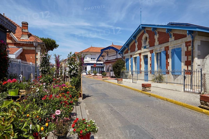 Flower shop and house with blue shutters on a street in Soulac-sur-Mer, Gironde, Nouvelle-Aquitaine, France, Europe