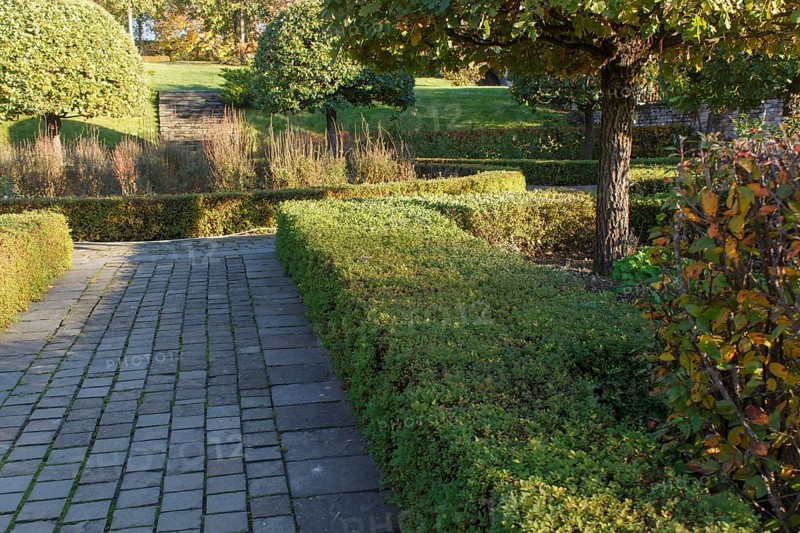 Park with green lawn, trees trimmed bushes and natural stone path in autumn. Modern landscape design