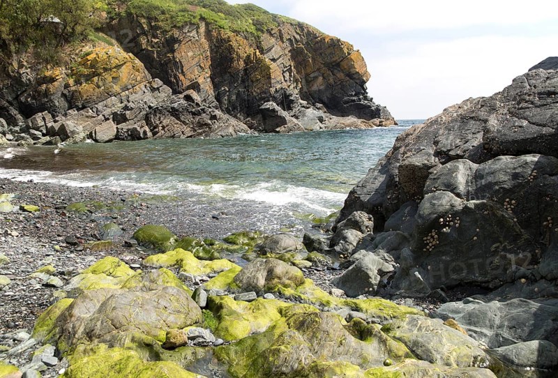 Rocky cove at Cadgwith, Lizard peninsula, Cornwall, England, UK