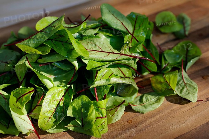 Southern German cuisine, preparation of sorrel soup with char, blood sorrel (Rumex sanguineus), sorrel on cutting board, wooden board, healthy, savoury, salty, traditional cuisine, food photography, studio, Germany, Europe