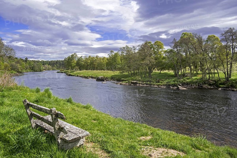 Old weathered wooden bench on riverbank along the river Spey in spring at Grantown-on-Spey, Highland, Moray, Scotland, UK