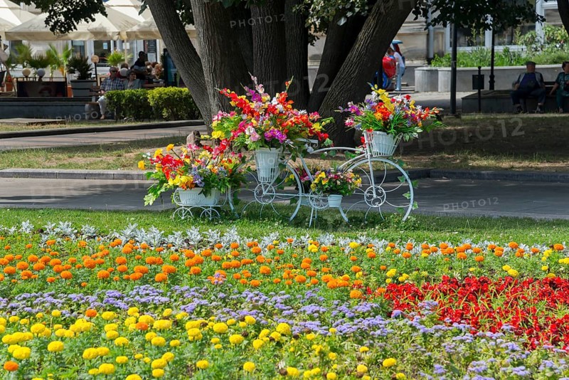 A white bicycle decorated with colourful flowers stands in a blooming park, Bicycle decorated with flowers in the city centre, Russe, Rousse, Ruse, Pyce, Bulgaria, Europe