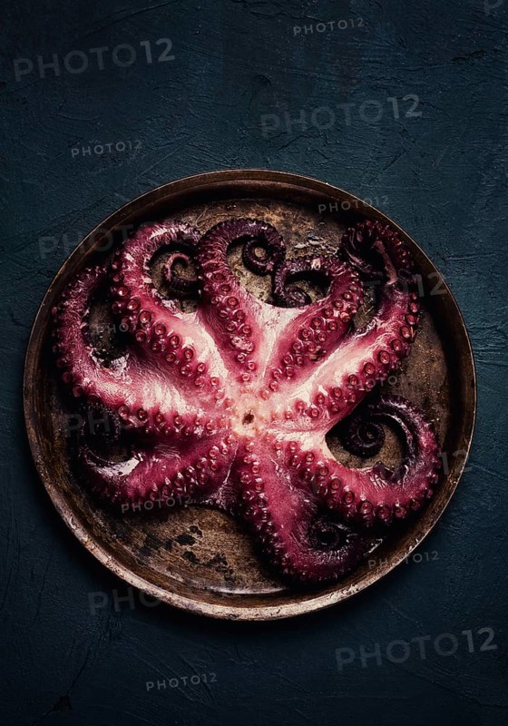 Boiled octopus, close-up, rustic style, no people, top view, close-up