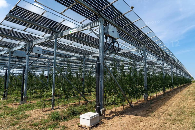 Agri-photovoltaic test plant, an apple orchard with two different systems of PV modules was roofed over 3000 square metres, rain and sunlight comes through, at the same time protection against hail and heavy rain, next to it are the same trees but without a solar roof, as a comparison object, how the PV roof affects the trees and harvest, the field test is accompanied by the Fraunhofer Institute for Solar Energy Systems ISE, in Grafschaft-Gelsdorf, Rhineland-Palatinate, Germany, Europe