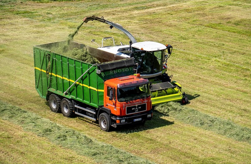 Hay harvest, on a Rhine meadow near Duisburg-Beeckerwerth, a forage harvester picks up the cut grass, which was piled up in strips after cutting, and loads it into a silage wagon, cattle feed, North Rhine-Westphalia, Germany, Europe
