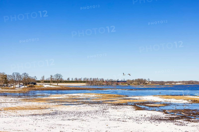 View at lake Hornborgasjön with cranes (Grus grus) and a visitor center with snow in early spring, Hornborgasjön, Sweden, Europe