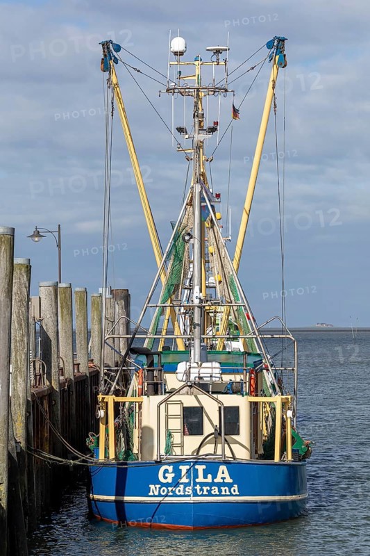 Fishing cutter, harbour, Strucklahnungshörn, Nordstrand, North Frisia, Schleswig-Holstein, Germany, Europe