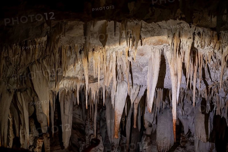 Stalactites in a stalactite cave, Terciopelo Cave, Barra Honda National Park, Costa Rica, Central America