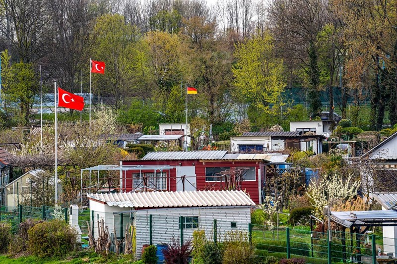 Allotment gardens on the Rhine dyke near Duisburg-Beeckerwerth, allotment garden association Löwenburg, Duisburg, North Rhine-Westphalia, Germany, Europe