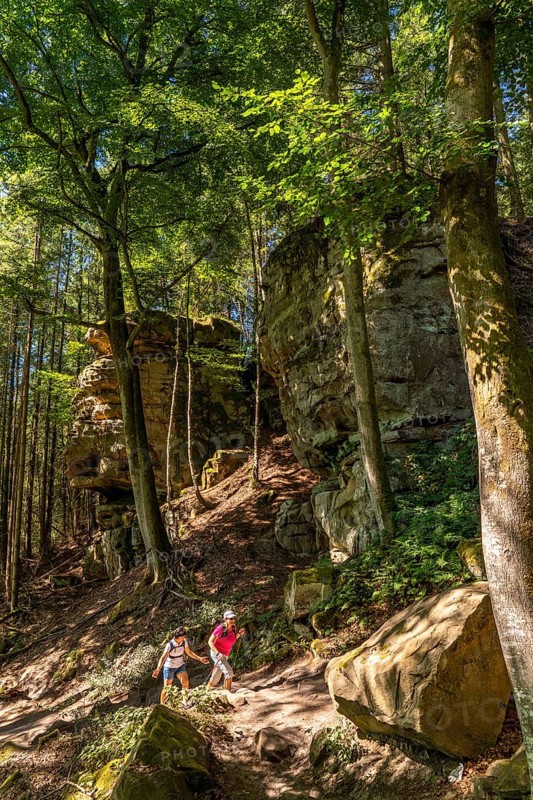 Path to the Devil's Gorge, near Irrel, Southern Eifel nature park Park, Rhineland-Palatinate, Germany, Europe