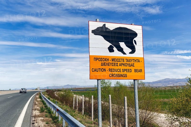 Bilingual warning sign on motorway, caution, drive slowly, bears crossing the road, Western Macedonia, Greece, Europe