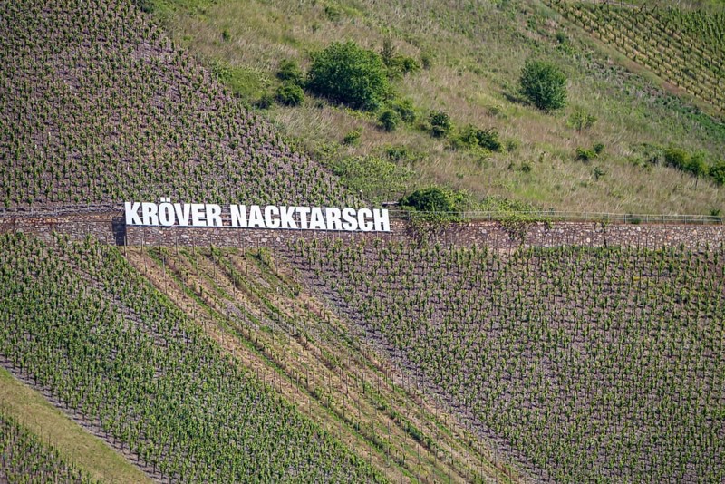 Kröver Nacktarsch vineyard, Moselle, Rhineland-Palatinate, Germany, Europe