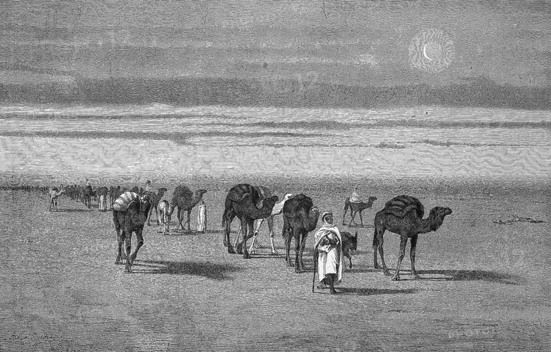 Caravan in the Sahara, Algeria, Historical, digitally restored reproduction from a 19th century original, Record date not stated, Africa