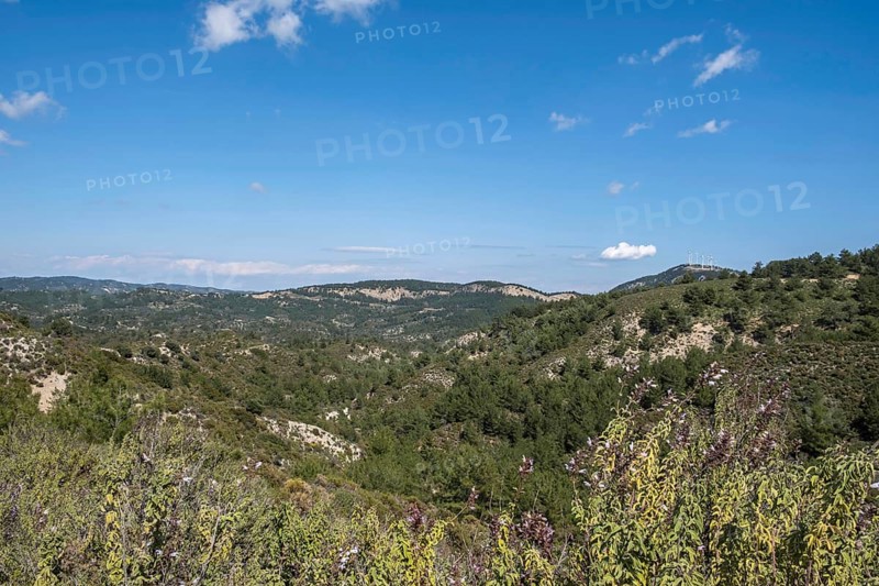 Landscape in the centre of Rhodes, Dodecanese archipelago, Greek islands, Greece, Europe