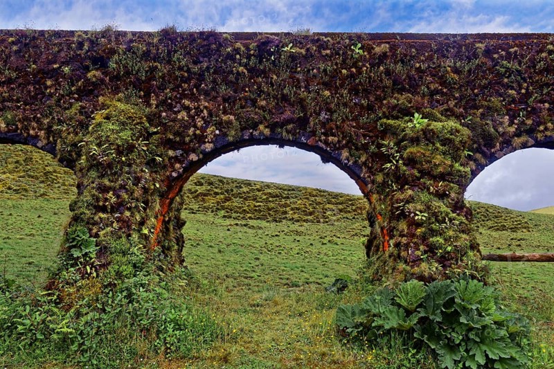 Overgrown historical aqueduct Muro das Nove Janelas with moss-covered arch structures in front of a grassy area, crater circular hiking trail, Caldeira das Sete Cidades, Muro das Nove Janelas, Sao Miguel, Portugal, Europe