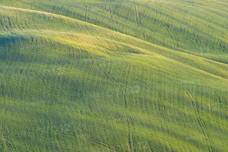 Hilly landscape, Crete Senesi, Province of Siena, Tuscany, Italy, Europe