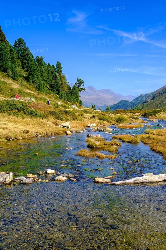 Staller Almbach, Staller Sattel, Defereggen Valley, East Tyrol, Austria, Europe